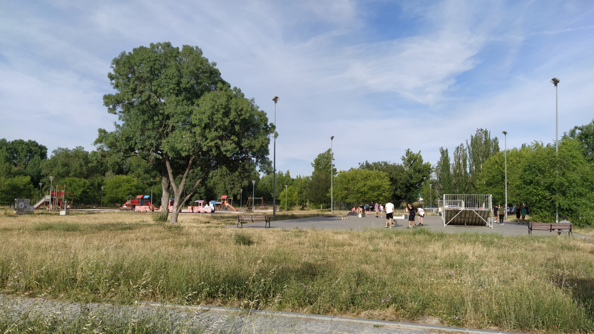 Skatepark-seat